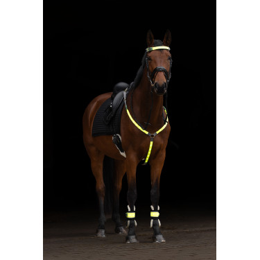 Collier de chasse à LED Covalliero Collier de chasse à LED Covalliero