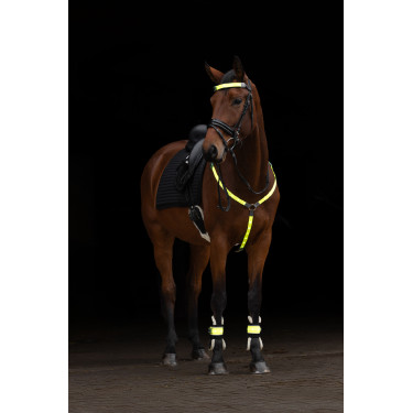 Collier de chasse à LED Covalliero Collier de chasse à LED Covalliero