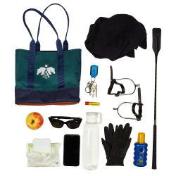 Mini tote bag Arena Vert