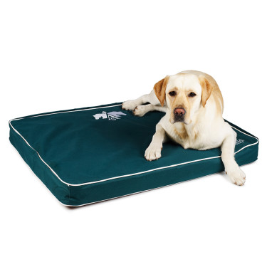 Lit pour chien Arena Lit pour chien Arena
