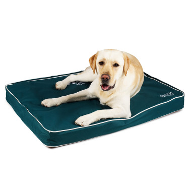 Lit pour chien Arena Lit pour chien Arena
