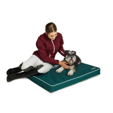 Lit pour chien Arena Lit pour chien Arena