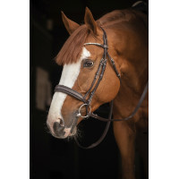 Bridon Pénélope Daily Strass SR Havane