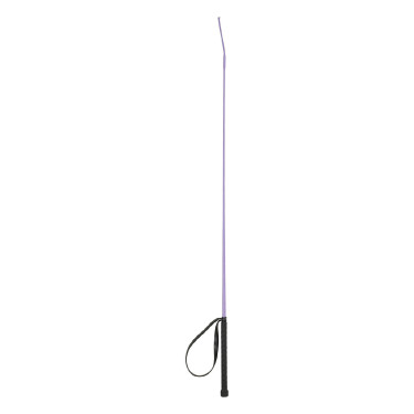 Stick de dressage Austin Horze Stick de dressage Austin Horze