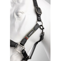 Licol en cuir B Vertigo Lennox Chimère Gris Licol en cuir B Vertigo Lennox Chimère Gris