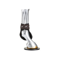 Protège-boulets EP Zandona Carbon Air jeunes chevaux Marron Protège-boulets EP Zandona Carbon Air jeunes chevaux Marron