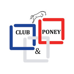 Mors de bride petites branches Jump'In à passage de langue