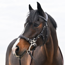 Hackamore cuir  Jump'In branches courtes et plates Poney Noir Hackamore cuir  Jump'In branches courtes et plates Poney Noir