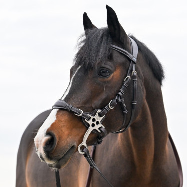 Hackamore cuir Jump'In branches courtes et plates Poney Hackamore cuir Jump'In branches courtes et plates Poney