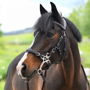 Bridon Hackamore Jump'In One Premium Bridon Hackamore Jump'In One Premium