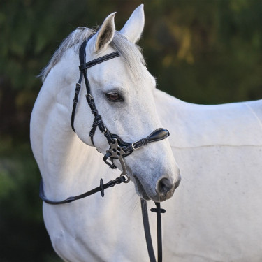 Bridon Hackamore Jump'In One Premium Bridon Hackamore Jump'In One Premium