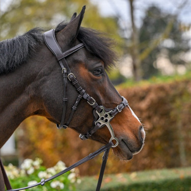 Bridon Hackamore Jump'In One Premium Bridon Hackamore Jump'In One Premium