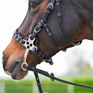 Bridon Hackamore Jump'In One Premium Bridon Hackamore Jump'In One Premium