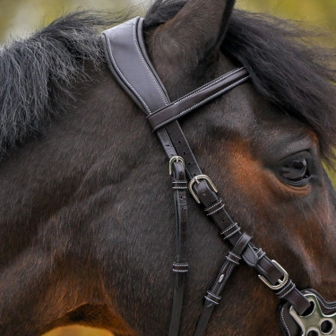 Bridon Hackamore Jump'In One Premium Bridon Hackamore Jump'In One Premium