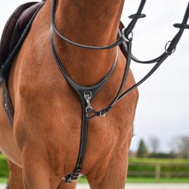 Collier et martingale amovible Jump'In Collection One Premium Collier et martingale amovible Jump'In Collection One Premium