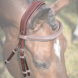 Têtière Jump'In Paris / Bruxelles Collection One Noisette Marron