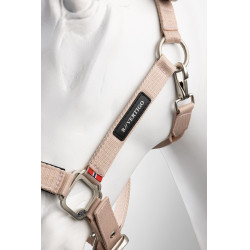 Licol Hardwick B Vertigo Sepia rose