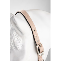 Licol Hardwick B Vertigo Sepia rose