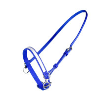 PETIT LICOL NYLON AVEC ANNEAU Bleu / blanc