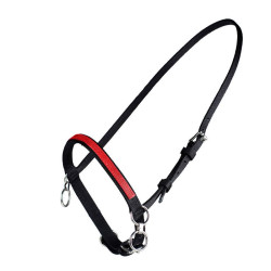 PETIT LICOL NYLON AVEC ANNEAU PETIT LICOL NYLON AVEC ANNEAU