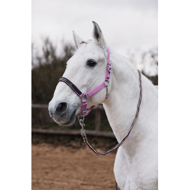 Licol et longe Horze Graffiti Poney Licol et longe Horze Graffiti Poney