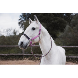 Licol et longe Horze Graffiti Poney Bégonia rose Licol et longe Horze Graffiti Poney Bégonia rose