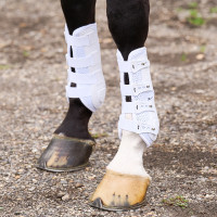 Guêtres de dressage HV Polo Pro Movement Blanc Guêtres de dressage HV Polo Pro Movement Blanc