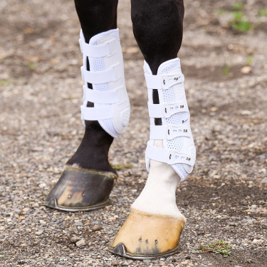 Guêtres de dressage HV Polo Pro Movement Guêtres de dressage HV Polo Pro Movement