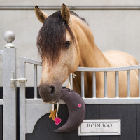 Jouet pour le box Imperial Riding Moony Gris Jouet pour le box Imperial Riding Moony Gris