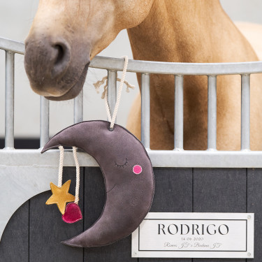 Jouet pour le box Imperial Riding Moony Jouet pour le box Imperial Riding Moony