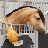 Jouet pour le box Imperial Riding Sunny Jaune