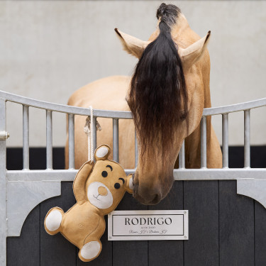 Jouet pour le box Imperial Riding Teddy Jouet pour le box Imperial Riding Teddy