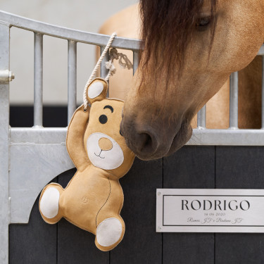 Jouet pour le box Imperial Riding Teddy Jouet pour le box Imperial Riding Teddy