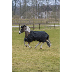 Couverture Irish Turnout Bucas 100g Noir / or