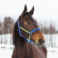 LICOL YANKEE NYLON 20 MM Noir / vert