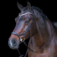 Bridon HV Polo Legacy Anatomique deluxe Noir Bridon HV Polo Legacy Anatomique deluxe Noir