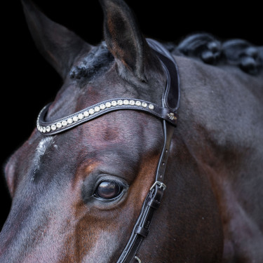 Bridon HV Polo Legacy Anatomique deluxe Bridon HV Polo Legacy Anatomique deluxe