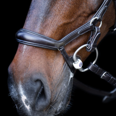 Bridon HV Polo Legacy Anatomique deluxe Bridon HV Polo Legacy Anatomique deluxe
