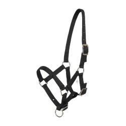 Licol foal HV Polo Nena Noir