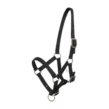 Licol foal HV Polo Nena Noir