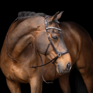 Bridon sans mors HV Polo Legacy Bridon sans mors HV Polo Legacy