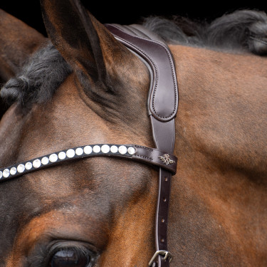 Bridon sans mors HV Polo Legacy Bridon sans mors HV Polo Legacy