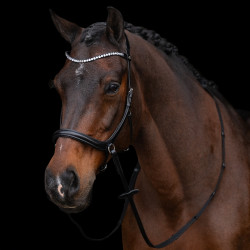 Bridon sans mors HV Polo Legacy