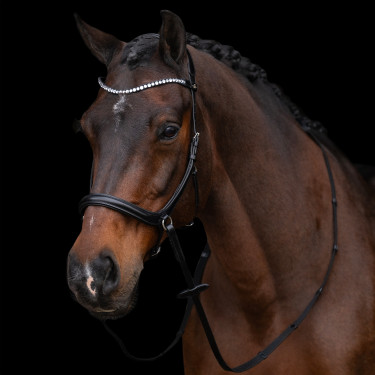 Bridon sans mors HV Polo Legacy
