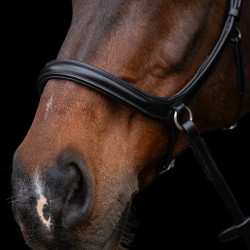 Bridon sans mors HV Polo Legacy Noir