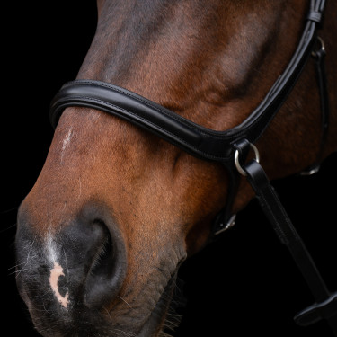 Bridon sans mors HV Polo Legacy Bridon sans mors HV Polo Legacy