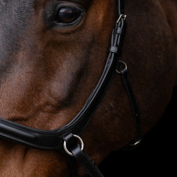 Bridon sans mors HV Polo Legacy Noir
