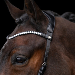 Bridon sans mors HV Polo Legacy Noir