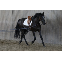 Longues rênes AKA Stübben Bleu / Blanc