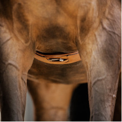 Sangle Stübben cuir Contours élastiques sur les deux côtés Tabac Marron Sangle Stübben cuir Contours élastiques sur les deux côtés Tabac Marron